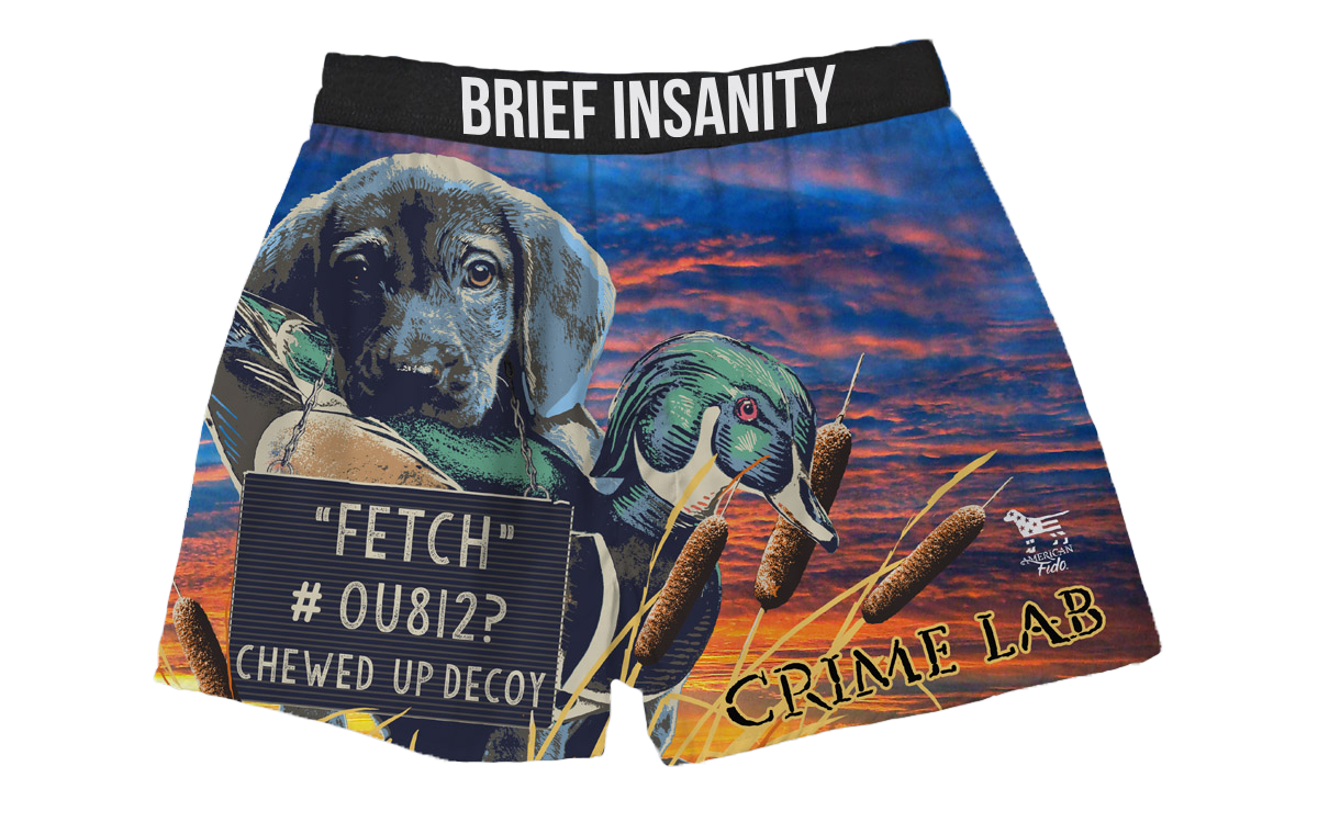 BRIEF INSANITY American Fido Comfortable Loose Fit Boxers | Silky Soft  Novelty Underwear For Women & Men (Large, Boykin Hair Don't Care)