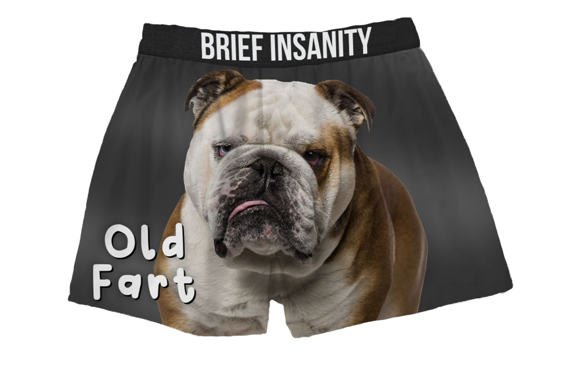 BRIEF INSANITY Funny & Cute Cat & Dog Graphic Print Boxers | Comfortable  Loose Fit Boxer Shorts for Men & Women : : Clothing, Shoes 